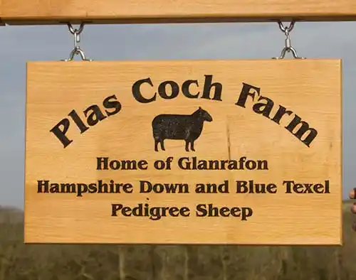 Hanging Oak Sign - Double Sided