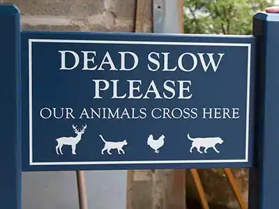 Stiffkey Blue Painted Sign