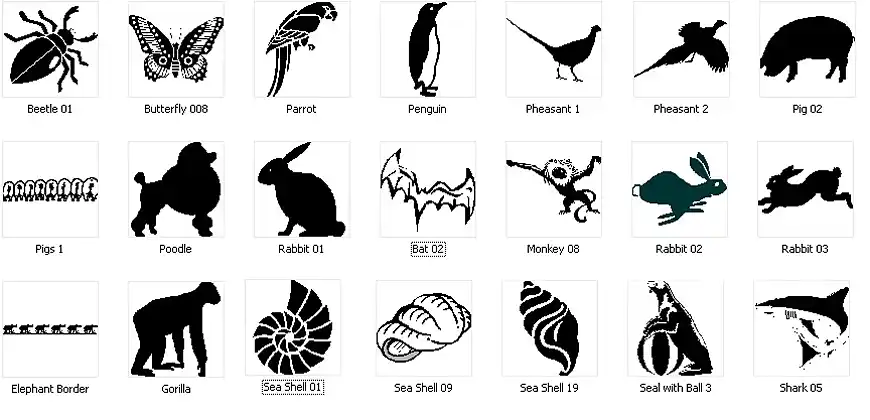 Animal images. Beetle, butterfly, pheasant, seashell
