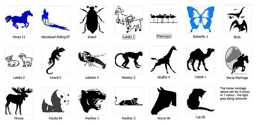 Animal image. Horse, cat, panther, lizard