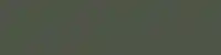 Paint colour swatch for Green Grey RAL 7009