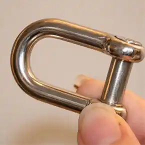 D Shackle with Allen Key Flush Pin