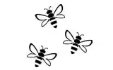 Looking after the bees