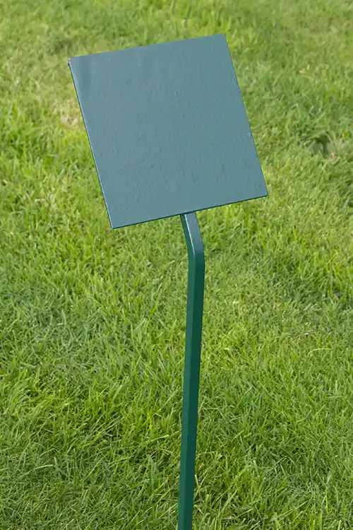 Green spike