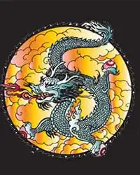 Dragon and Wizzard Images