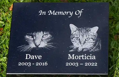 Cat Memorial