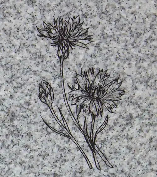 Celtic Grey Granite - Detailed Image
