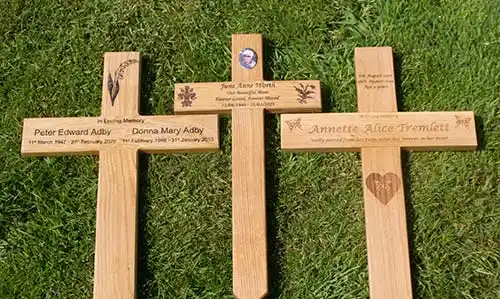 A selection of oak crosses