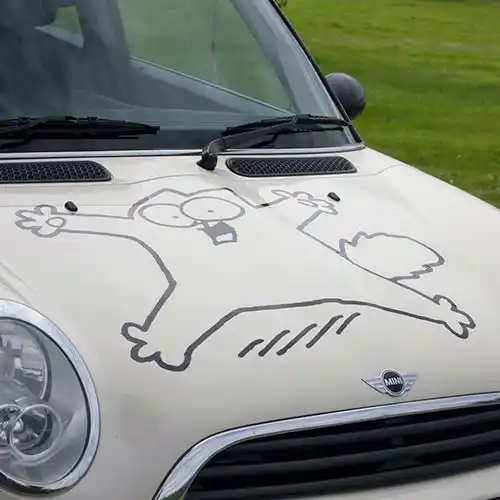 Cut Vinyl Car Graphics