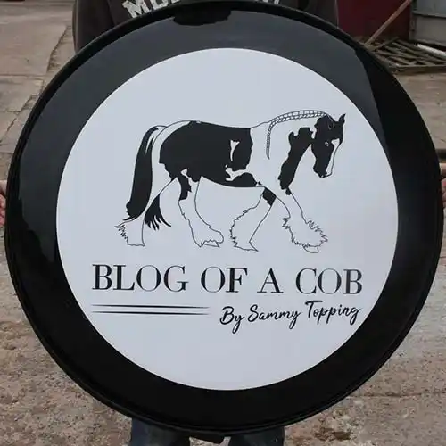 Printed Disk Wheelcover