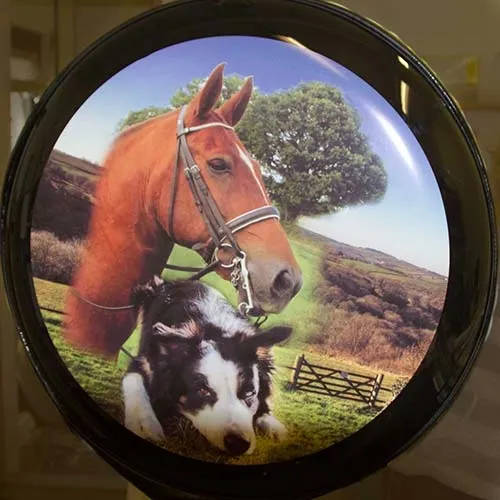Full colour print with designer blending customer photos Printed Wheel Cover