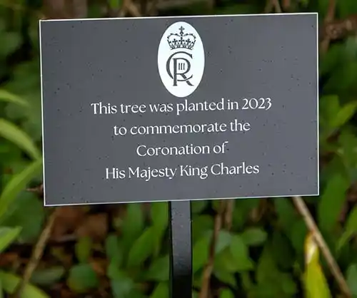 Wrought Iron Tree Stake