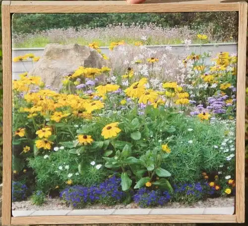Natural Oak Framed Canvas