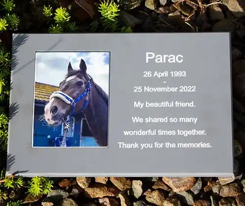 Full Colour Photo Plaque