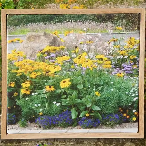Framed Canvas Print