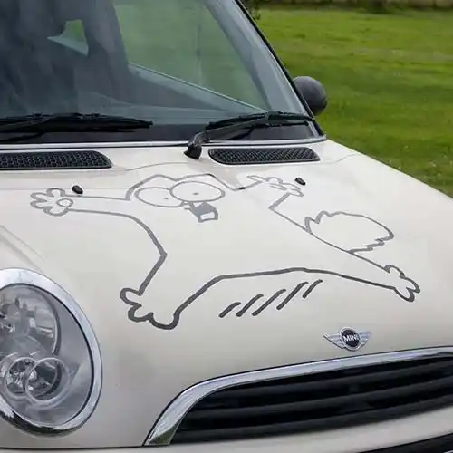 Graphics for Car Bonnet